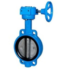 China Zero Leakage Centerline Butterfly Valves Wafer Gearbox Operated Feature supplier